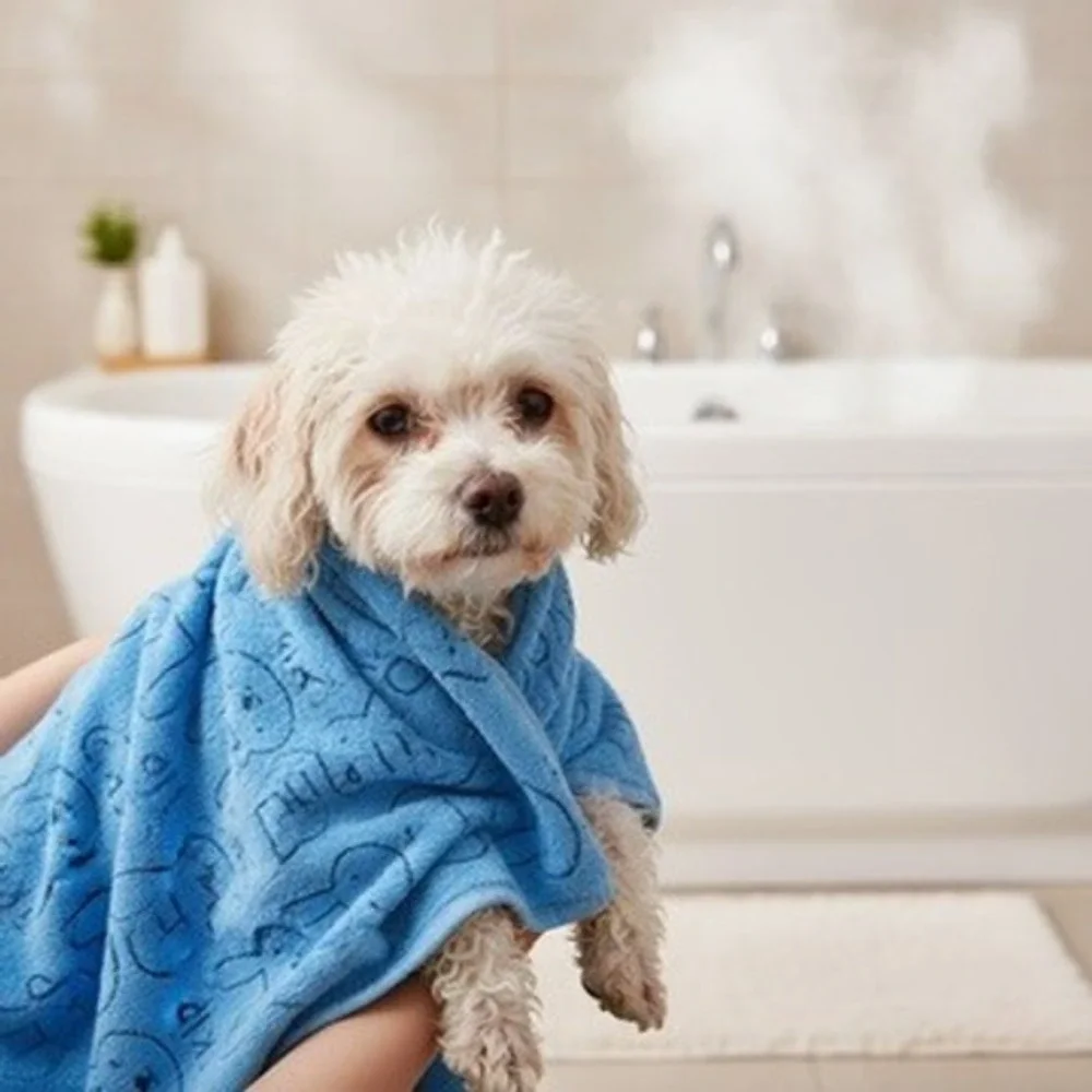 Toallas‎ de secado rápido para mascotas superabsorbente pequeño paquete de 3